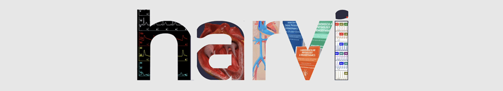 Decorative image screenshot of Harvi database logo