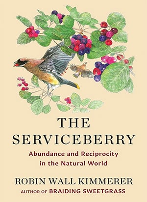 book cover image for The Serviceberry by Robin Wall Kimmerer
